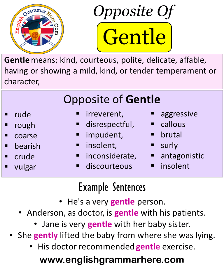 Opposite Of Gentle Antonyms Of Gentle Meaning And Example Sentences English Grammar Here