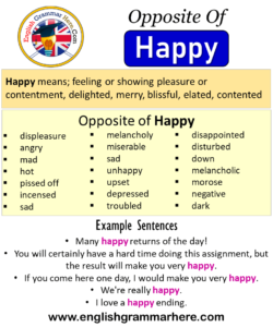 HAPPY ANTONYMS 3 605 OPPOSITE WORDS PHRASES visual data 5
