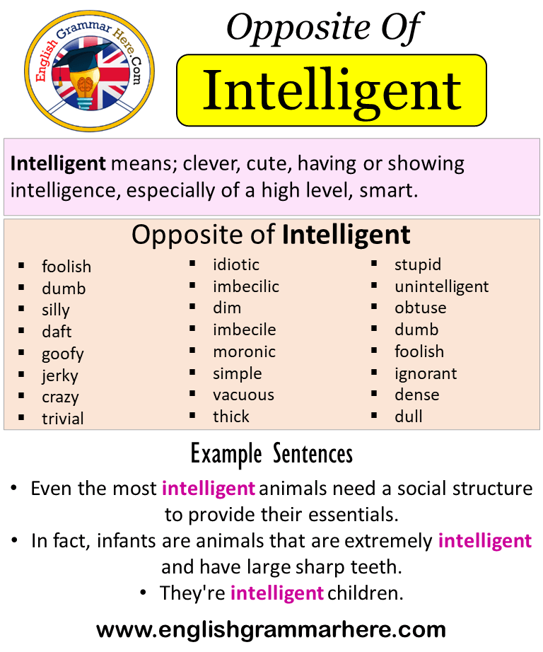 Opposite Of Intelligent, Antonyms of Intelligent, Meaning and Example  Sentences - English Grammar Here
