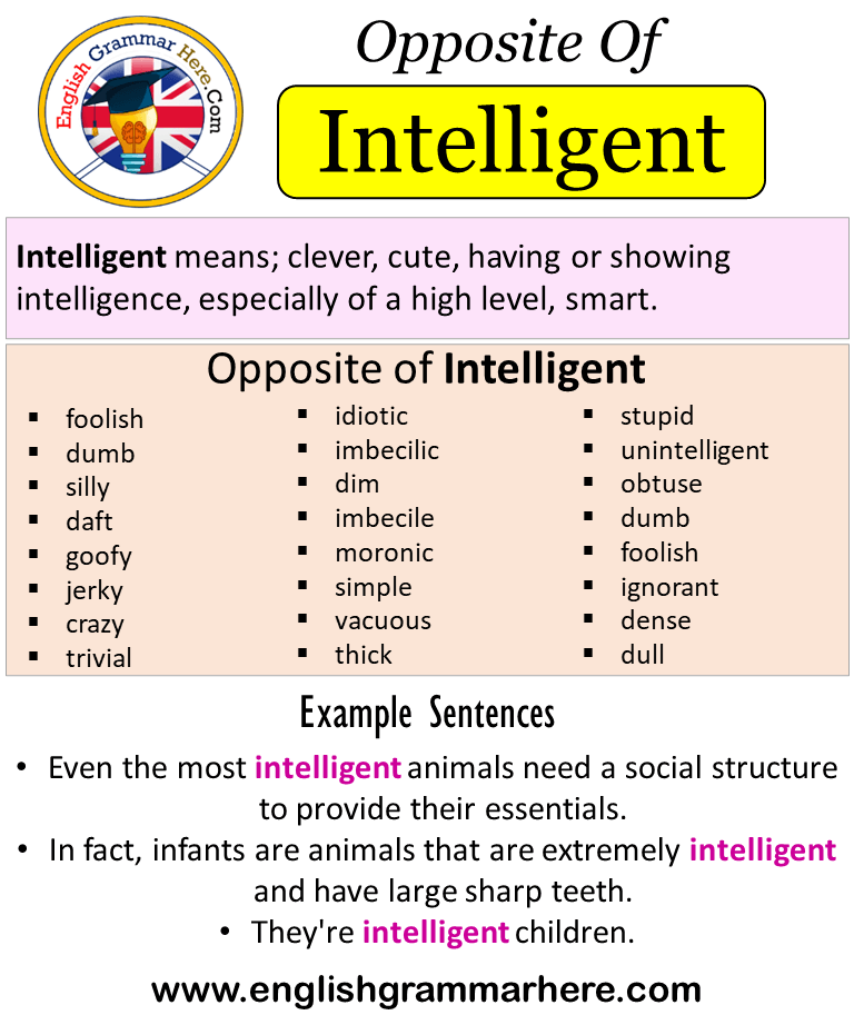 Opposite Of Intelligent, Antonyms of Intelligent, Meaning and ...