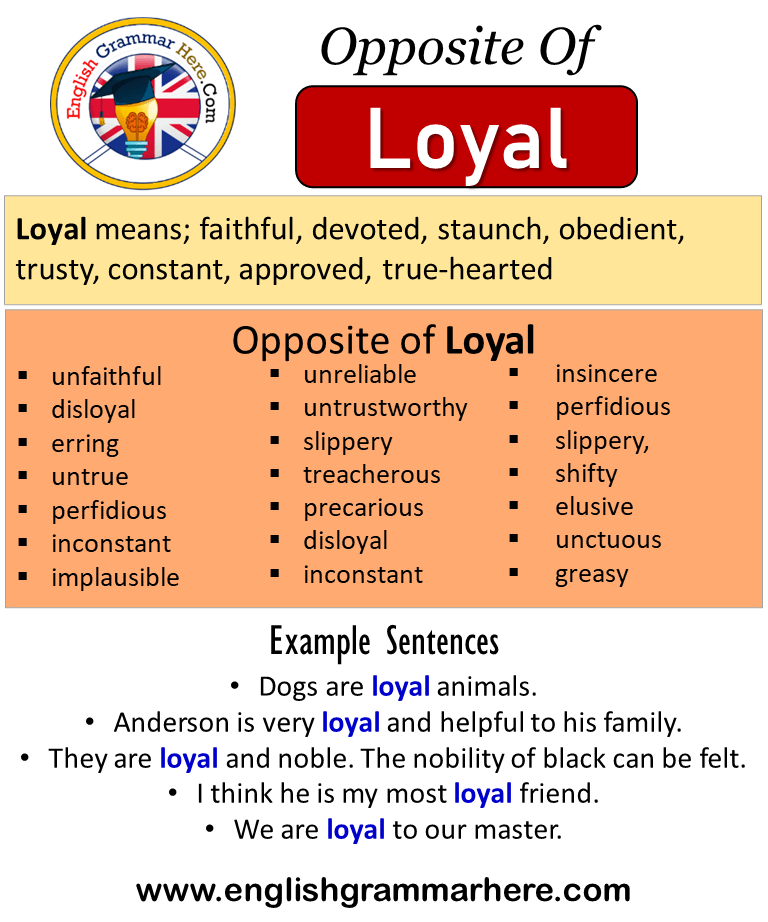 Opposite Of Loyal, Antonyms of Loyal, Meaning and Example Sentences