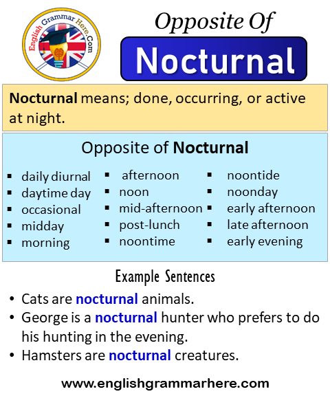 Opposite Of Nocturnal, Antonyms of Nocturnal, Meaning and Example Sentences