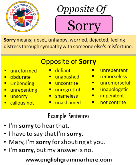 Opposite Of Sorry, Antonyms of Sorry, Meaning and Example Sentences