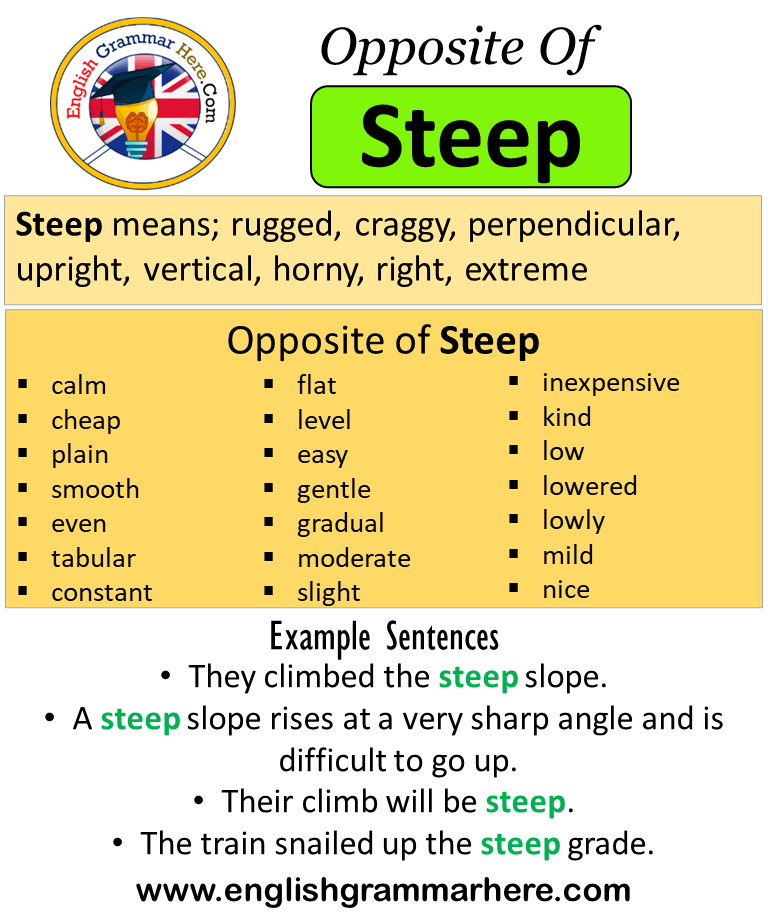 STEEP definition and meaning