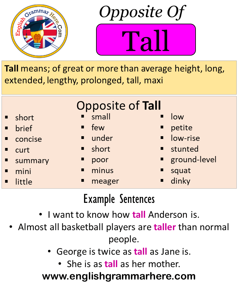 Tall на русском языке. Opposite. Tall opposite. Tall opposite Word. Opposite examples.