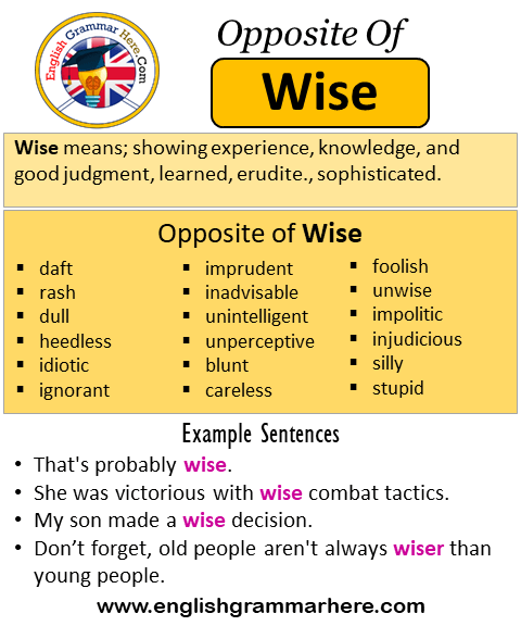 Opposite Of Wise, Antonyms of Wise, Meaning and Example Sentences