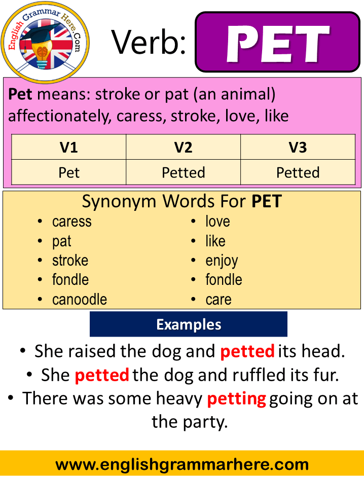 Meaning of heavy petting