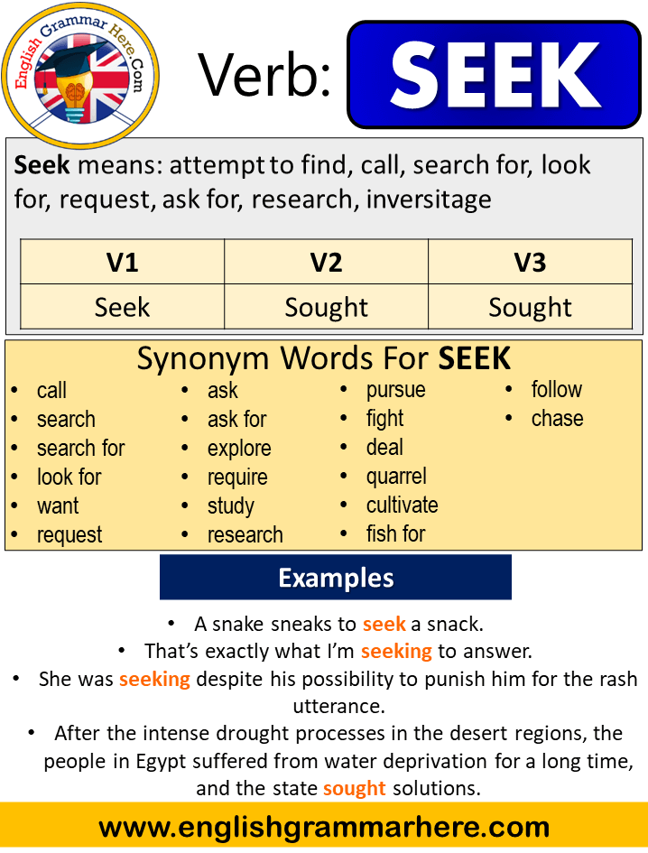 noun form of seek