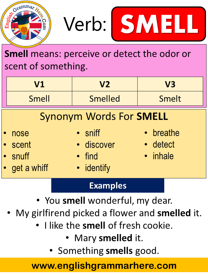 Smell Past Simple, Simple Past Tense of Smell Past Participle, V1 V2 V3 Form Of Smell