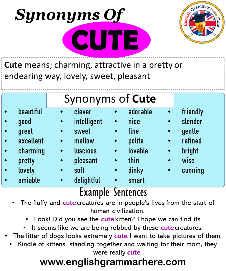 Synonyms Of Cute Cute Synonyms Words List Meaning And Example Sentences English Grammar Here