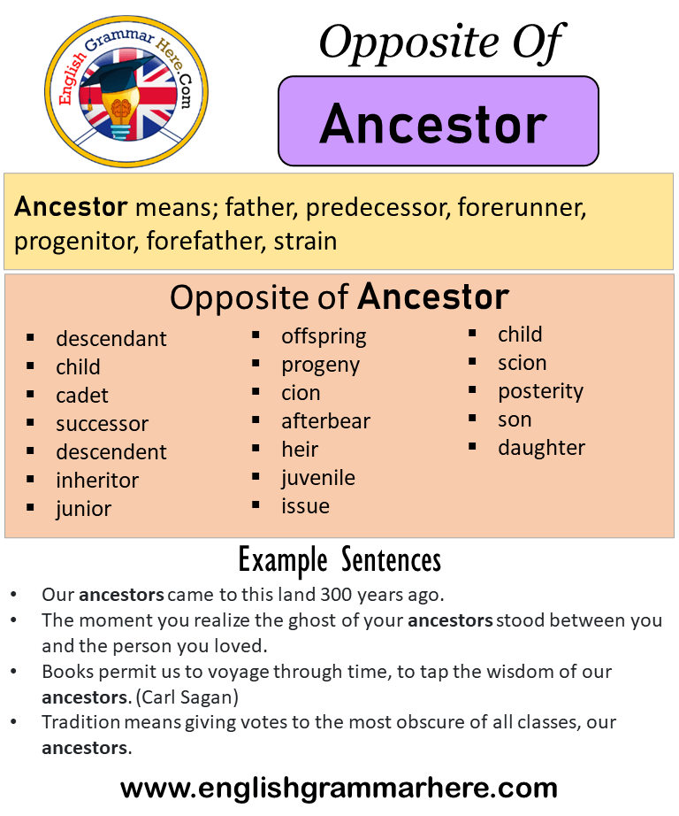 Opposite Of Ancestor, Antonyms of Ancestor, Meaning and Example Sentences