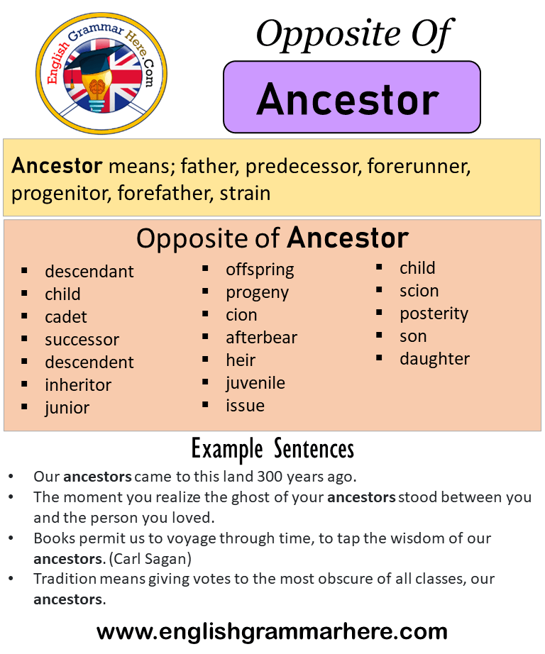 Opposite Of Ancestor, Antonyms of Ancestor, Meaning and Example Sentences -  English Grammar Here