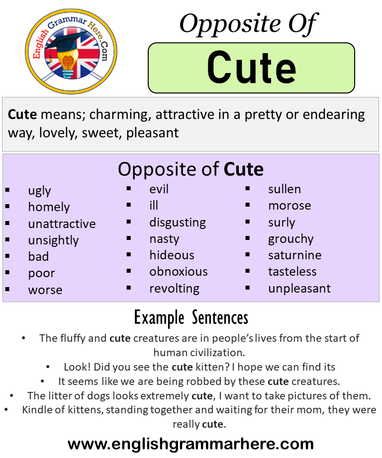 Opposite Of Cute Antonyms Of Cute Meaning And Example Sentences English Grammar Here