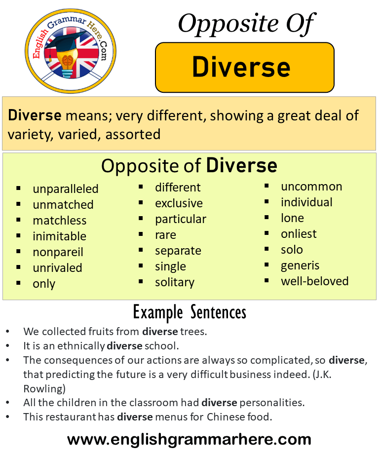 Opposite Of Diverse, Antonyms of Diverse, Meaning and Example Sentences