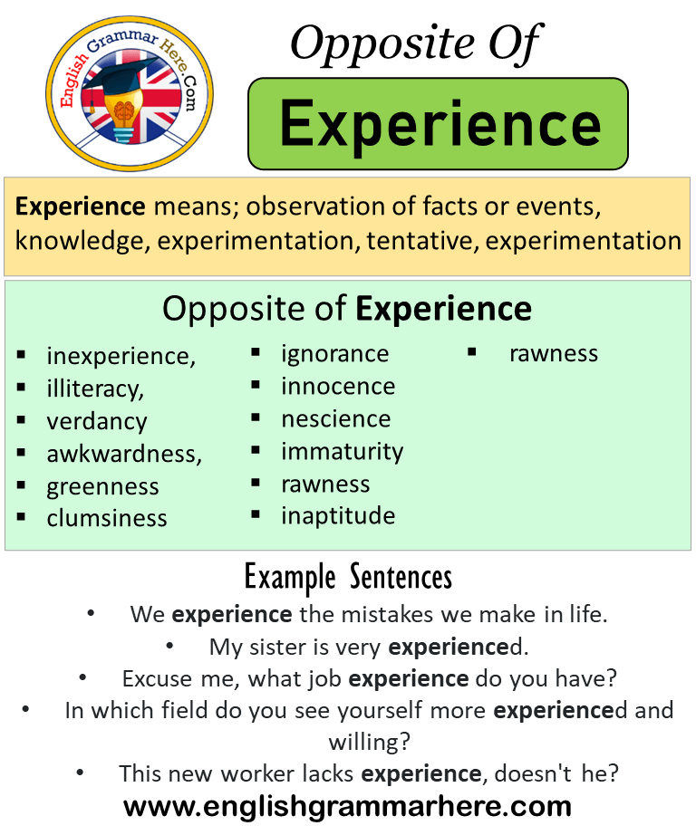 Opposite Of Experience, Antonyms of Experience, Meaning and Example Sentences