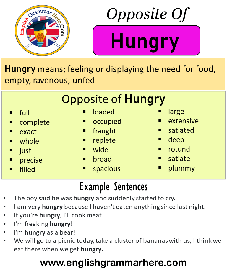 Opposite Of Hungry Antonyms Of Hungry Meaning And Example Sentences English Grammar Here