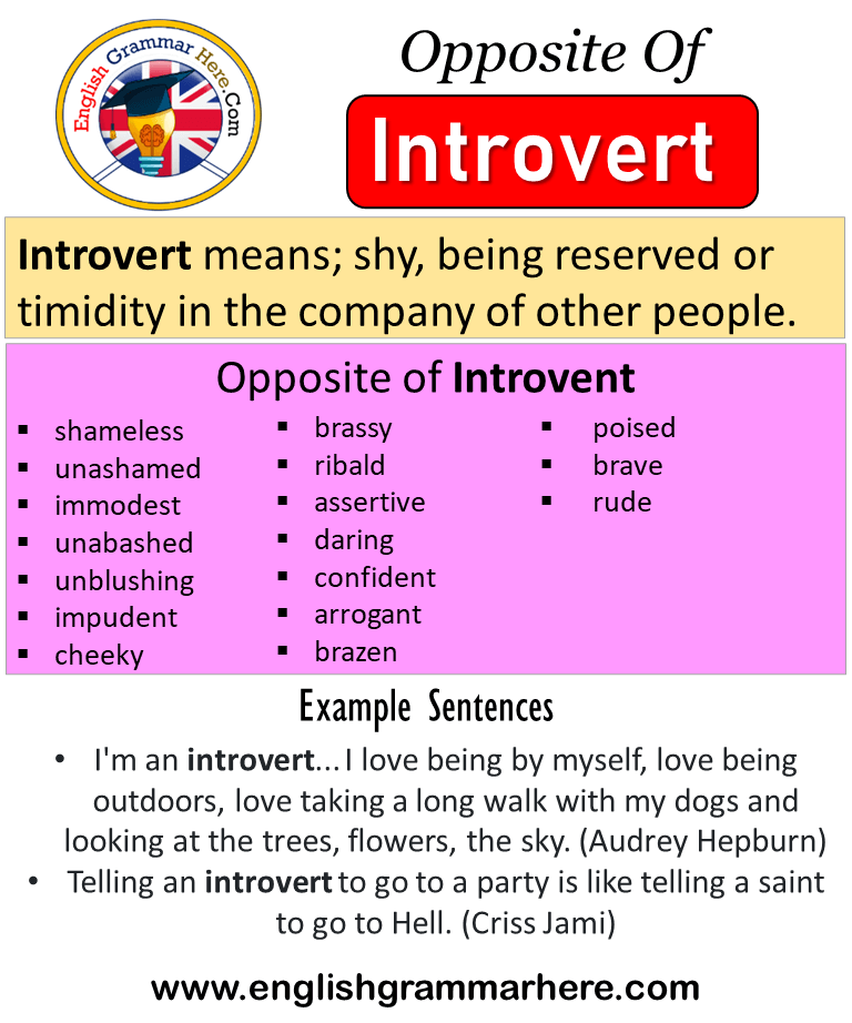 Opposite Of Introvert, Antonyms of Introvert, Meaning and Example Sentences