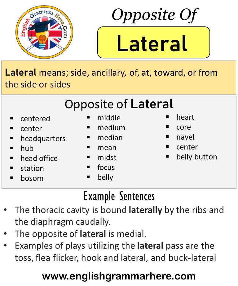 Opposite Of Lateral, Antonyms of Lateral, Meaning and Example Sentences