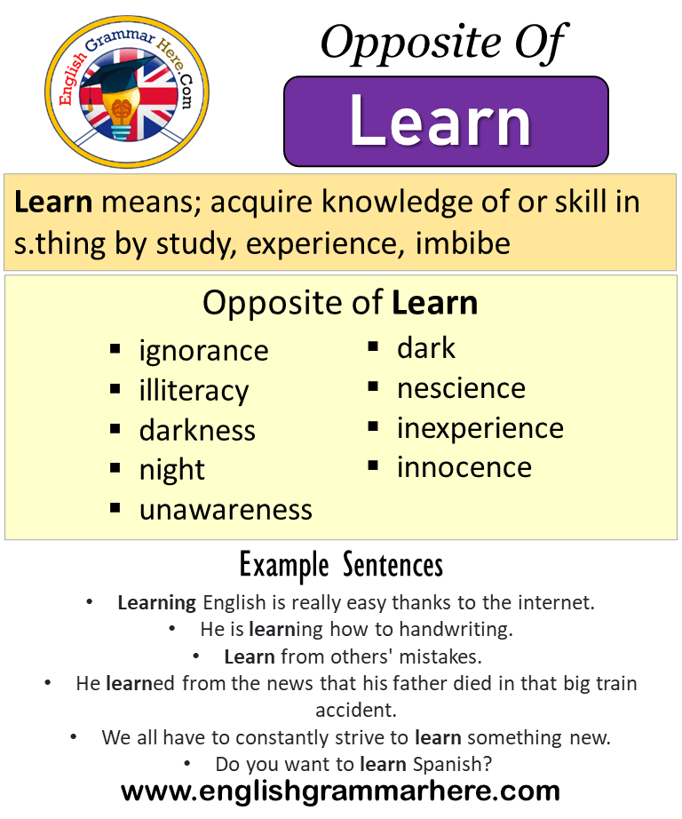 Opposite Of Learn Antonyms Of Learn Meaning And Example Sentences English Grammar Here