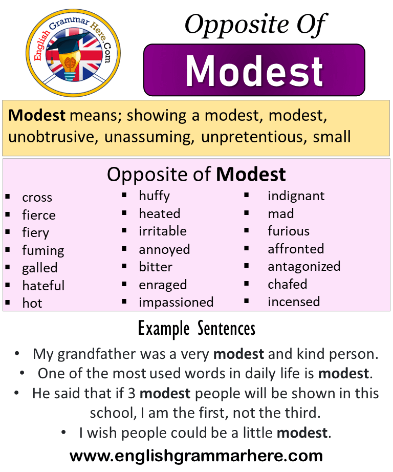Opposite of modest