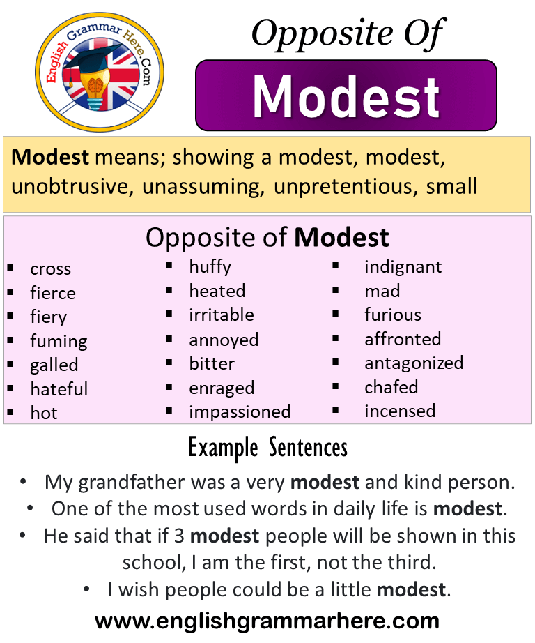 Opposite Of Modest, Antonyms Of Modest, Meaning And Example, 57% OFF