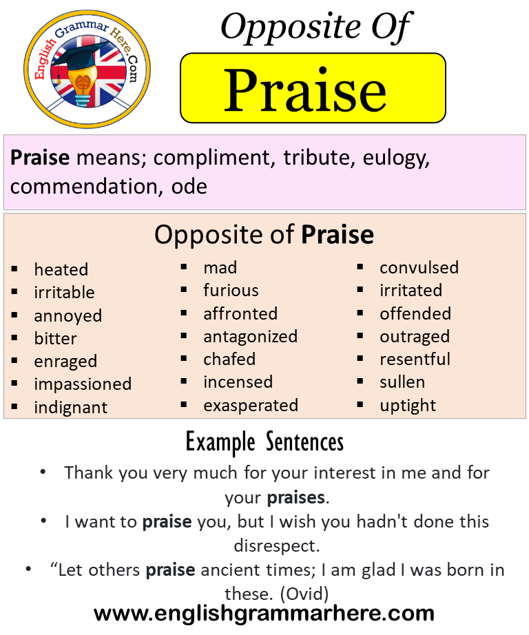 Opposite Of Praise, Antonyms of Praise, Meaning and Example Sentences