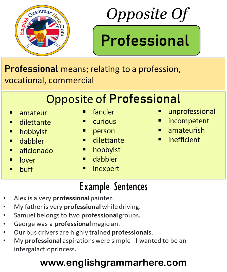 another word for professional presentation