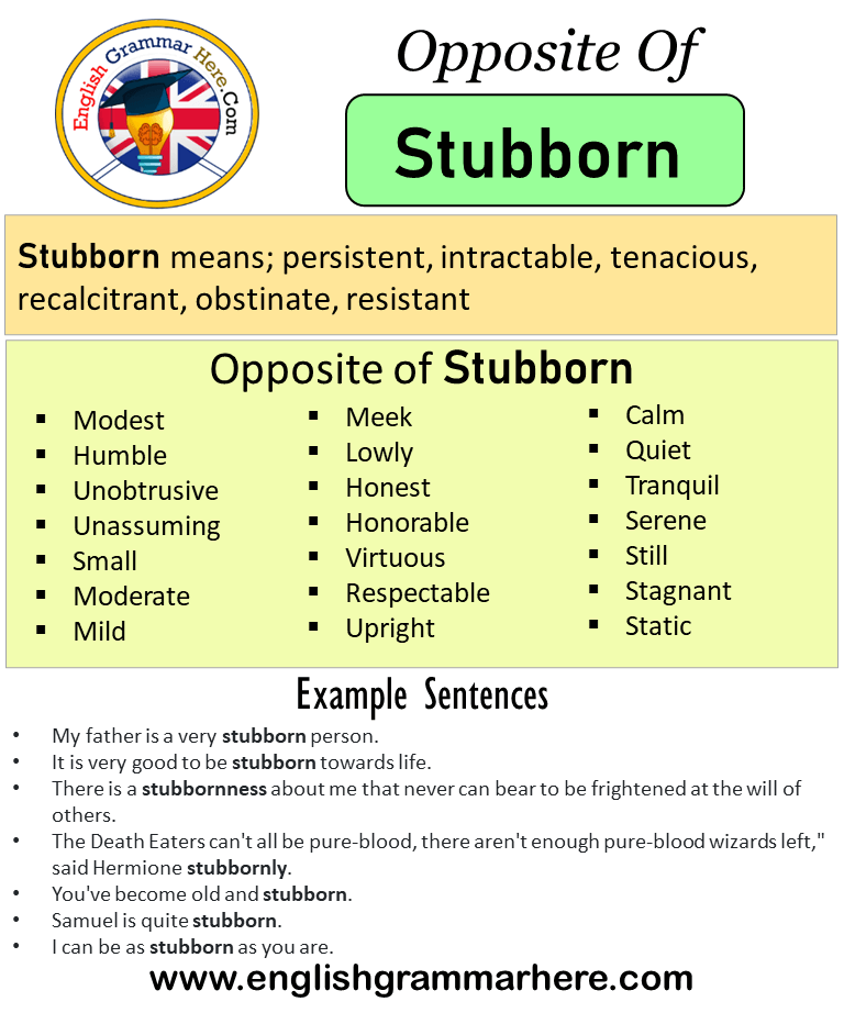 Opposite Of Stubborn Antonyms Of Stubborn Meaning And Example Sentences English Grammar Here
