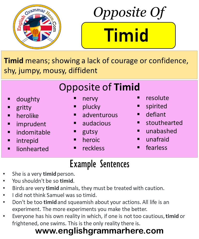 Opposite Of Timid, Antonyms of Timid, Meaning and Example Sentences