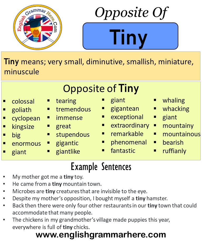 Opposite Of Tiny, Antonyms of Tiny, Meaning and Example Sentences