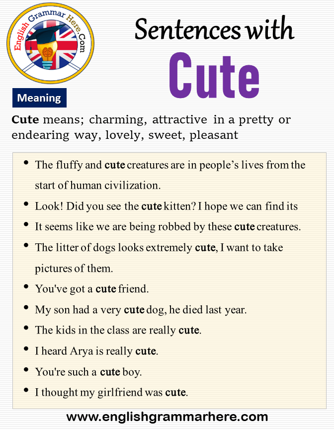 Sentences With Cute Meaning And Example Sentences English Grammar Here