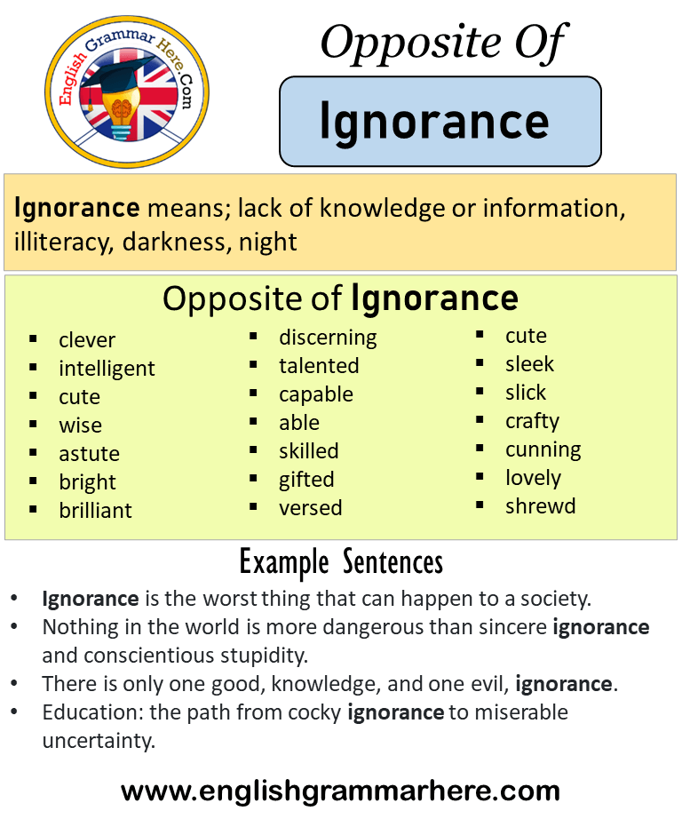 Opposite Of Ignorance Antonyms Of Ignorance Meaning And Example Sentences English Grammar Here