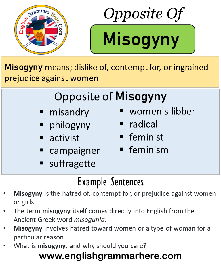 Opposite Of Misogyny, Antonyms of Misogyny, Meaning and Example Sentences