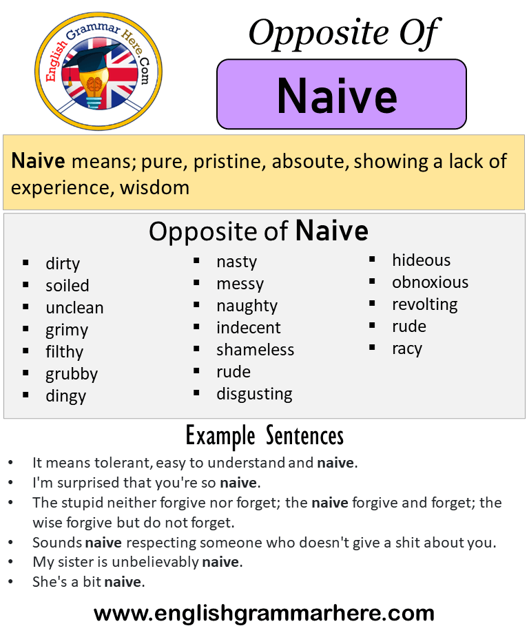 Naive Meaning Definition Of Naive 51 OFF