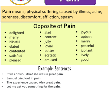 Opposite Of Fat, Antonyms of Fat, Meaning and Example Sentences ...