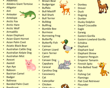 Detailed Animals Names List Archives - English Grammar Here