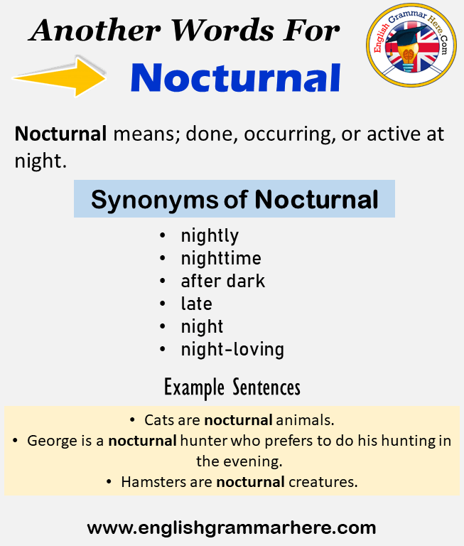 Another word for Nocturnal, What is another, synonym word for Nocturnal?