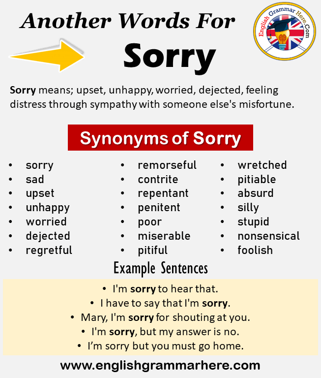 What is a better word than sorry?