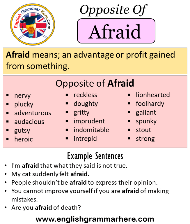 Opposite Of Afraid, Antonyms of Afraid, Meaning and Example Sentences