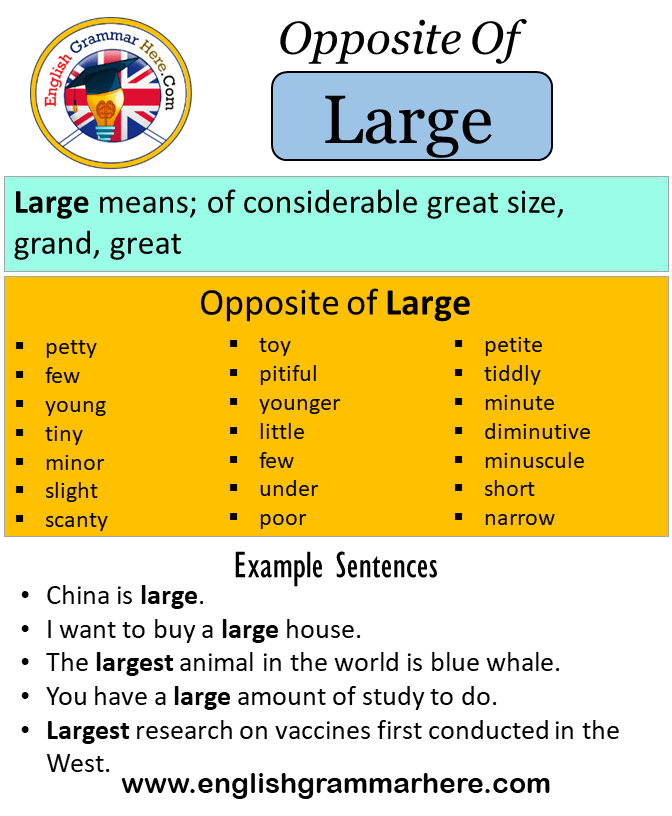 Opposite Of Large, Antonyms of Large, Meaning and Example Sentences