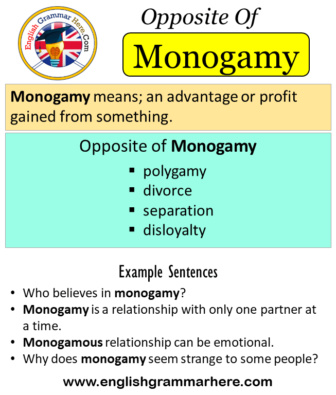 Opposite Of Monogamy, Antonyms of Monogamy, Meaning and Example Sentences