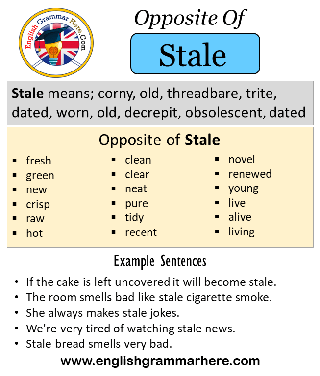 Opposite Of Stale, Antonyms of Stale, Meaning and Example Sentences
