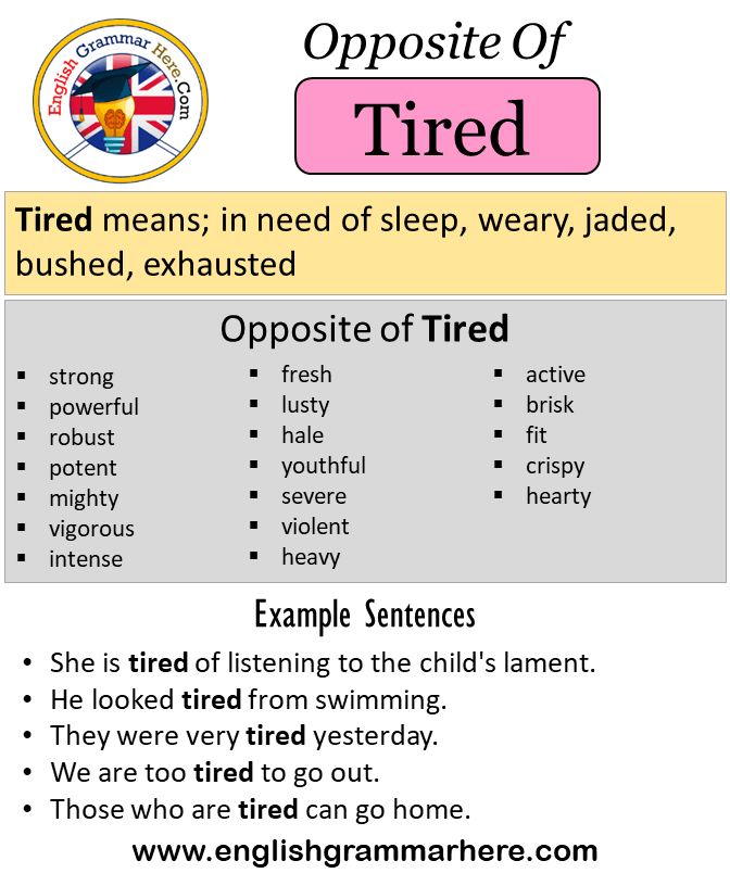 Opposite Of Tired, Antonyms of Tired, Meaning and Example Sentences