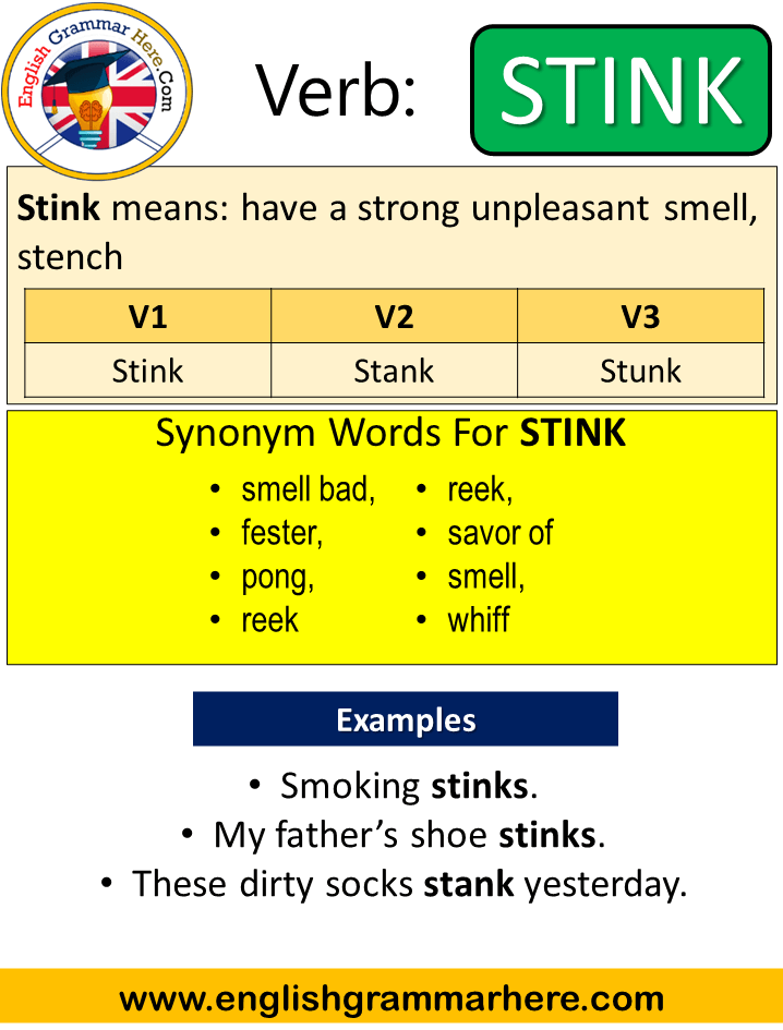 Stink Past Simple Simple Past Tense Of Stink Past Participle V1 V2 V3 Form Of Stink English Grammar Here