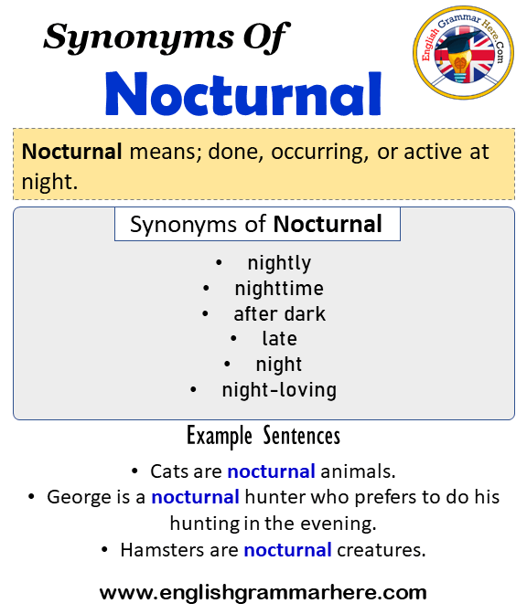 Synonyms Of Nocturnal, Nocturnal Synonyms Words List, Meaning and Example Sentences