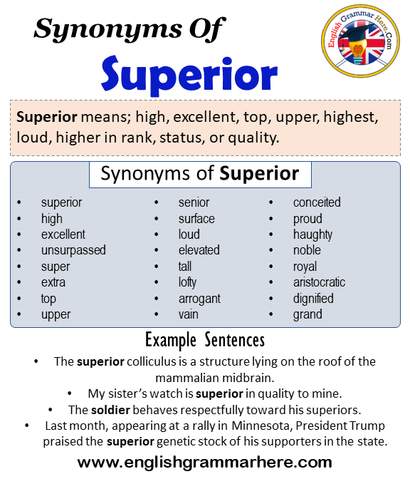 Synonyms Of Superior Superior Synonyms Words List Meaning And Example Sentences 