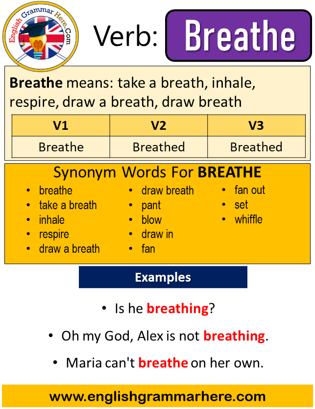 Breathe Past Simple, Simple Past Tense of Breathe, Past