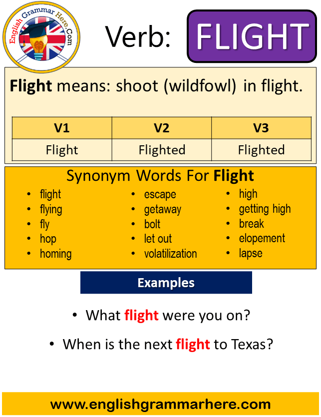 absorbi Potrivit Observa fly verb 3 forms plia strategie descărcare