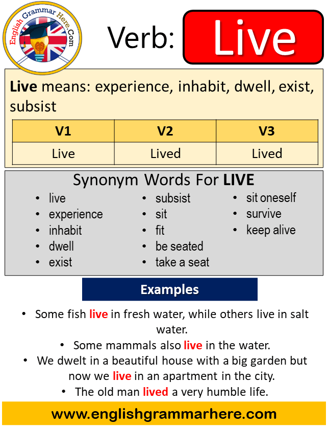 Live Past Simple, Simple Past Tense of Live, Past Participle, V1 V2 V3 Form  Of Live - English Grammar Here