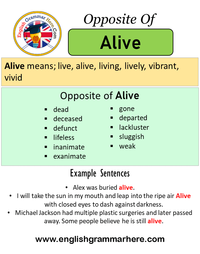 Opposite Of Alive, Antonyms of Alive, Meaning and Example Sentences